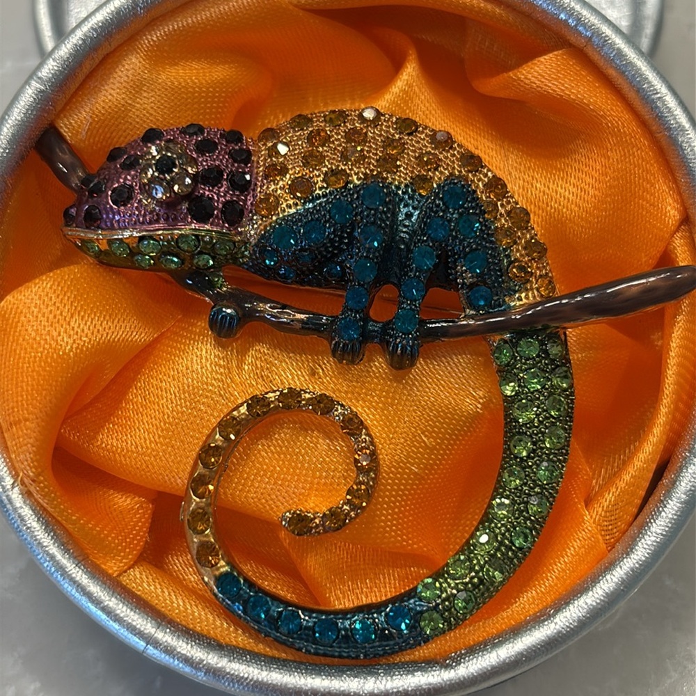 New 🌈 Colorful Chameleon Brooch/scarf holder